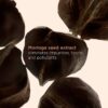 Coffret Essentiels pour le corps – Gommage exfoliant pour le corps et lait hydratant pour une peau lisse et éclatante