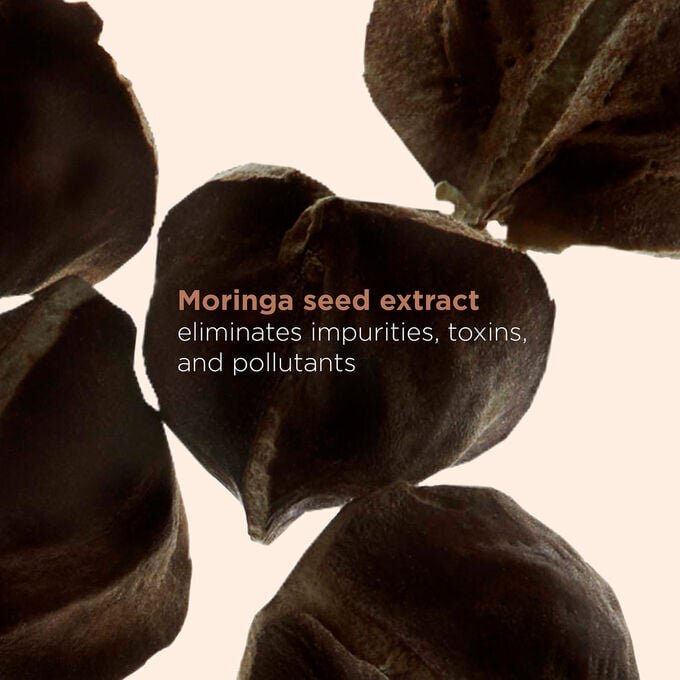 Coffret Essentiels pour le corps – Gommage exfoliant pour le corps et lait hydratant pour une peau lisse et éclatante