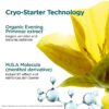 Masque Cryo-Flash - Masque visage gel-crème raffermissant et resserrant les pores